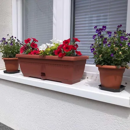 Db Apartman